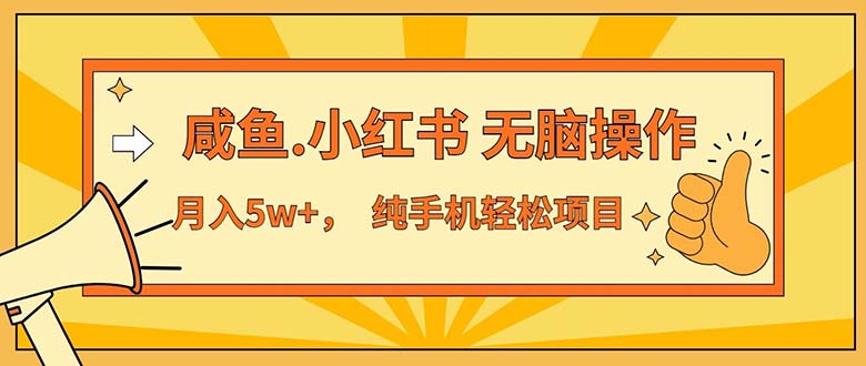 （11524期）2024最赚钱的项目，咸鱼，小红书无脑操作，每单利润500+，轻松月入5万+…-悟空聊项目