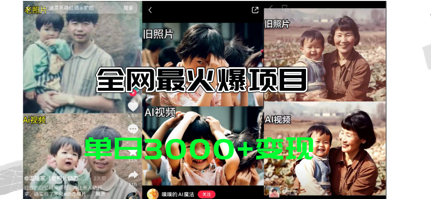 （11546期）全网爆火的AI让老照片动起来教程，蹭热点日赚3000+，内含免费工具一键…-悟空聊项目