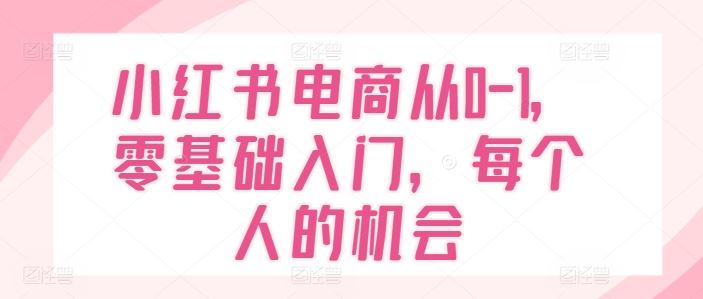 小红书电商从0-1，零基础入门，每个人的机会-悟空聊项目