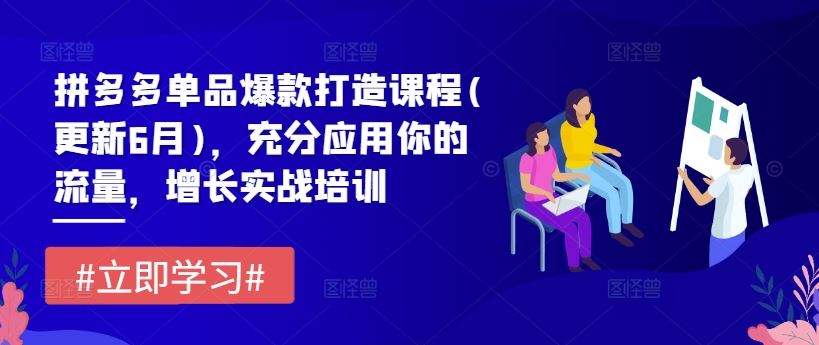 拼多多单品爆款打造课程(更新6月)，充分应用你的流量，增长实战培训-悟空聊项目
