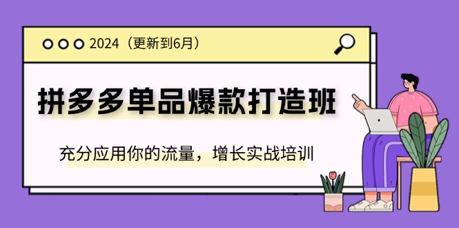 （11556期）2024拼多多-单品爆款打造班(更新6月)，充分应用你的流量，增长实战培训-悟空聊项目