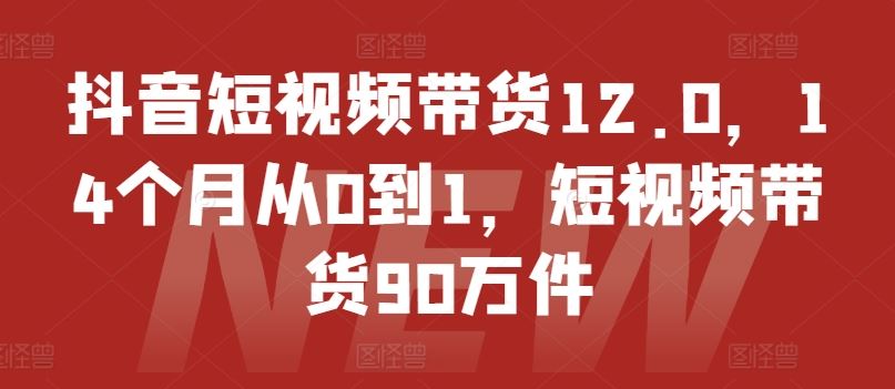抖音短视频带货12.0，14个月从0到1，短视频带货90万件-悟空聊项目