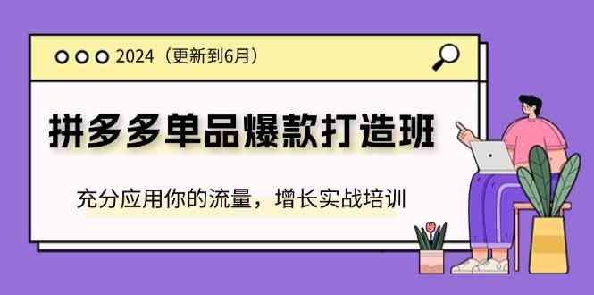 2024拼多多单品爆款打造班，充分应用你的流量，增长实战培训(更新6月)-悟空聊项目
