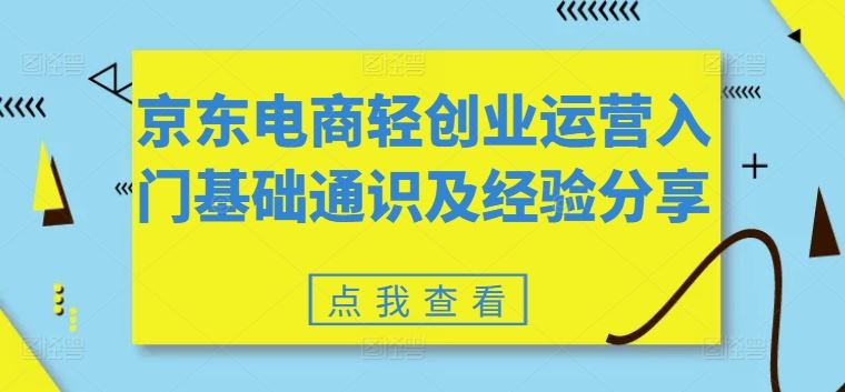京东电商轻创业运营入门基础通识及经验分享-悟空聊项目