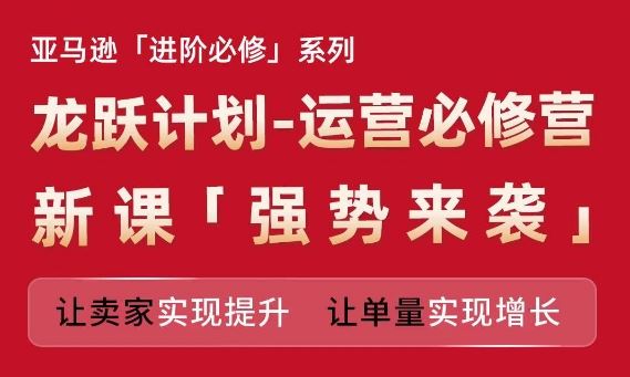 亚马逊进阶必修系列，龙跃计划-运营必修营新课，让卖家实现提升 让单量实现增长-悟空聊项目