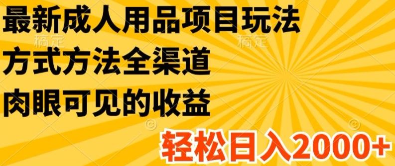 最新成人用品项目玩法，方式方法全渠道，轻松日入2K+【揭秘】-悟空聊项目