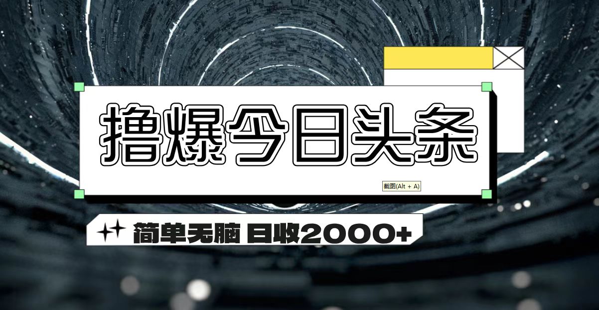 （11665期）撸爆今日头条 简单无脑操作 日收2000+-悟空聊项目