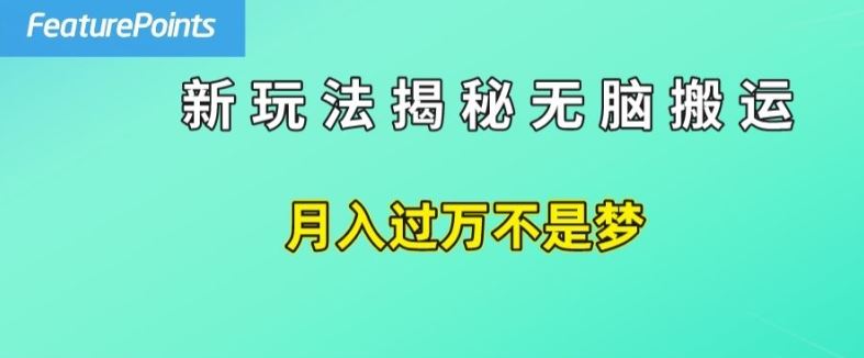 简单操作，每天50美元收入，搬运就是赚钱的秘诀【揭秘】-悟空聊项目