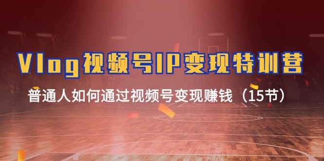 Vlog视频号IP变现特训营，普通人如何通过视频号变现赚钱（15节）-悟空聊项目