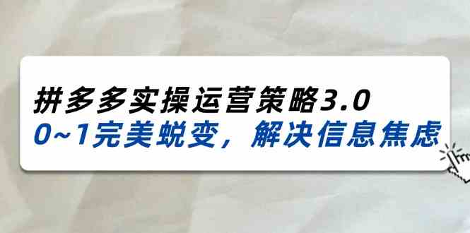 2024-2025拼多多实操运营策略3.0，0~1完美蜕变，解决信息焦虑（38节）-悟空聊项目