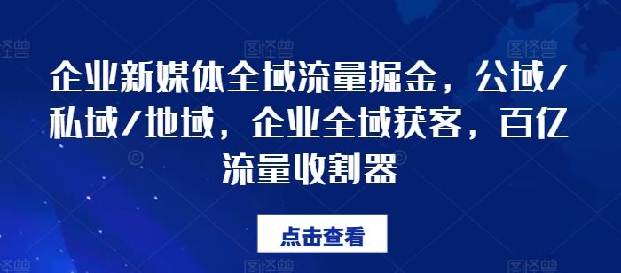 企业新媒体全域流量掘金，公域/私域/地域，企业全域获客，百亿流量收割器-悟空聊项目