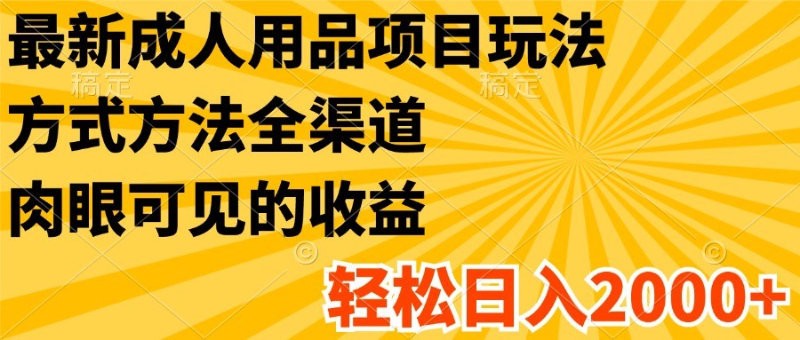 最新成人用品项目玩法，方式方法全渠道，肉眼可见的收益，轻松日入2000+-悟空聊项目