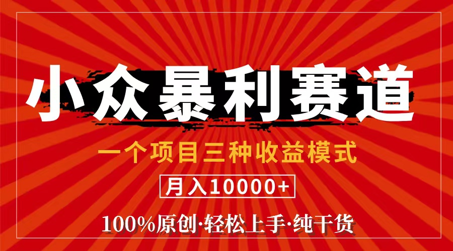 （11695期）视频号【中老年粉深信不疑】小众赛道 100%原创 手把手教学 新号3天收益…-悟空聊项目