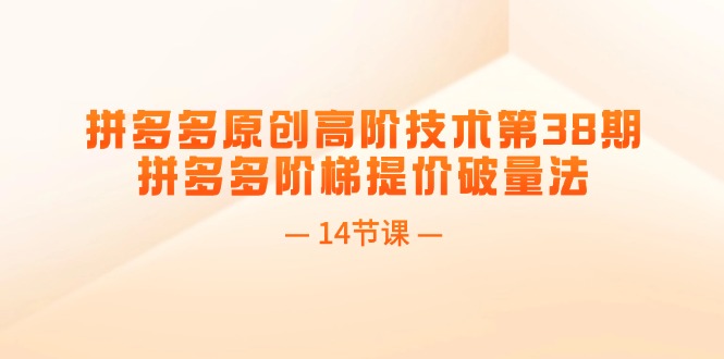 （11704期）拼多多原创高阶技术第38期，拼多多阶梯提价破量法（14节课）-悟空聊项目