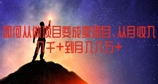 如何从做项目变成卖项目，从月收入几千到月入几万【揭秘】-悟空聊项目