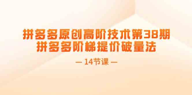 拼多多原创高阶技术第38期，拼多多阶梯提价破量法（14节课）-悟空聊项目