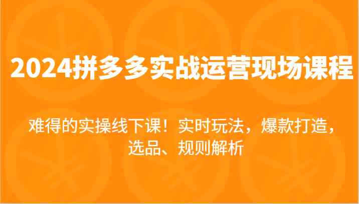 2024拼多多实战运营现场课，实时玩法，爆款打造，选品、规则解析，难得的实操线下课！-悟空聊项目