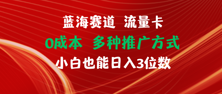 （11768期）蓝海赛道 流量卡 0成本 小白也能日入三位数-悟空聊项目