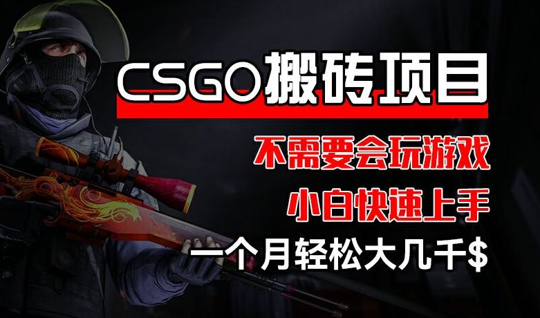 CSGO 装备搬砖项目，操作简单，不需要会玩游戏，小白也能快速上手，一个月轻松大几千【揭秘】-悟空聊项目