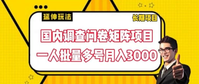 国内调查问卷矩阵项目，一人批量多号月入3000【揭秘】-悟空聊项目