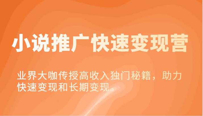 小说推广快速变现营-业界大咖传授高收入独门秘籍，助力快速变现和长期变现。-悟空聊项目