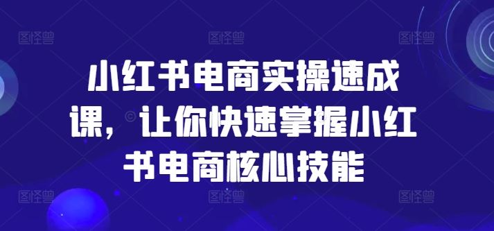 小红书电商实操速成课，让你快速掌握小红书电商核心技能-悟空聊项目