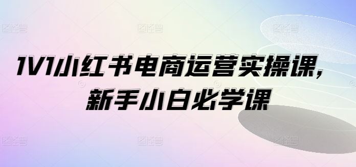 1V1小红书电商运营实操课，新手小白必学课-悟空聊项目