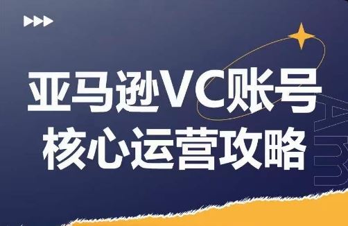 亚马逊VC账号核心玩法解析，实战经验拆解产品模块运营技巧，提升店铺GMV，有效提升运营利润-悟空聊项目