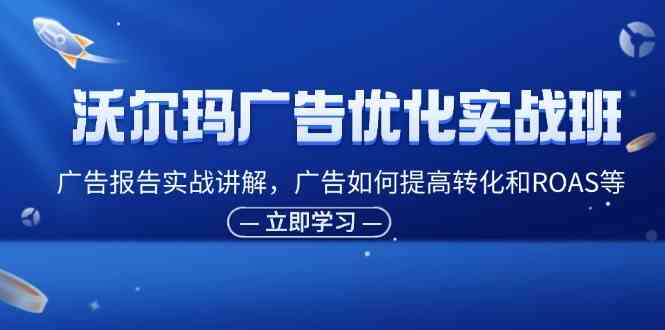 沃尔玛广告优化实战班，广告报告实战讲解，广告如何提高转化和ROAS等-悟空聊项目