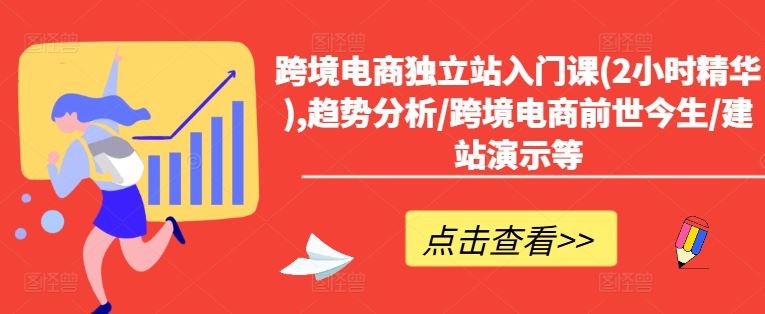 跨境电商独立站入门课(2小时精华),趋势分析/跨境电商前世今生/建站演示等-悟空聊项目