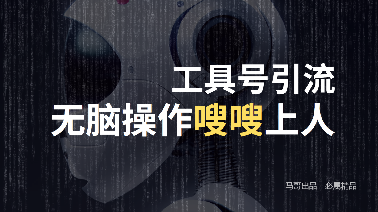 工具号高效引流法，嗖嗖上人，日引1000+，直接搬运，无脑操作-悟空聊项目