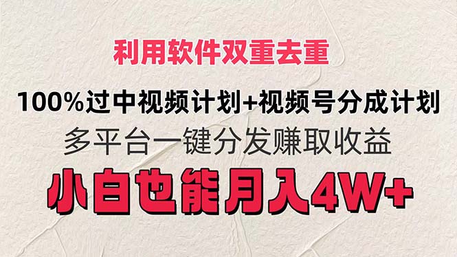 （11862期）利用软件双重去重，100%过中视频+视频号分成计划小白也可以月入4W+-悟空聊项目