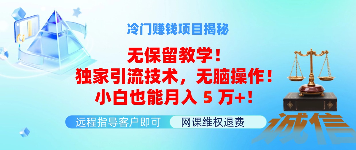 （11864期）冷门赚钱项目无保留教学！独家引流技术，无脑操作！小白也能月入5万+！-悟空聊项目