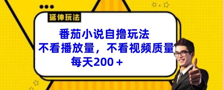 番茄小说自撸玩法，不看播放量，不看视频质量，每天200+【揭秘】-悟空聊项目