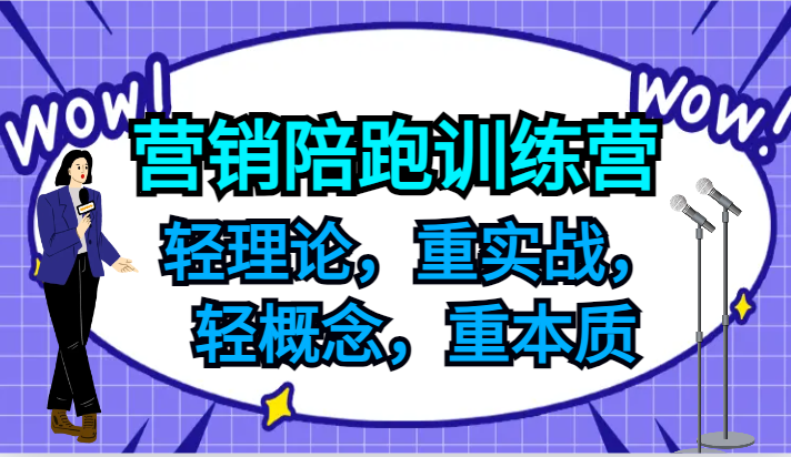 营销陪跑训练营，轻理论，重实战，轻概念，重本质，适合中小企业和初创企业的老板-悟空聊项目