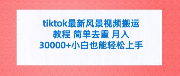 tiktok最新风景视频搬运教程 简单去重 月入3W+小白也能轻松上手【揭秘】-悟空聊项目