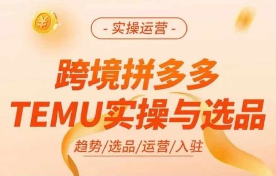 跨境拼多多TEMU实操与选品，多多temu跨境选品运营实操-悟空聊项目