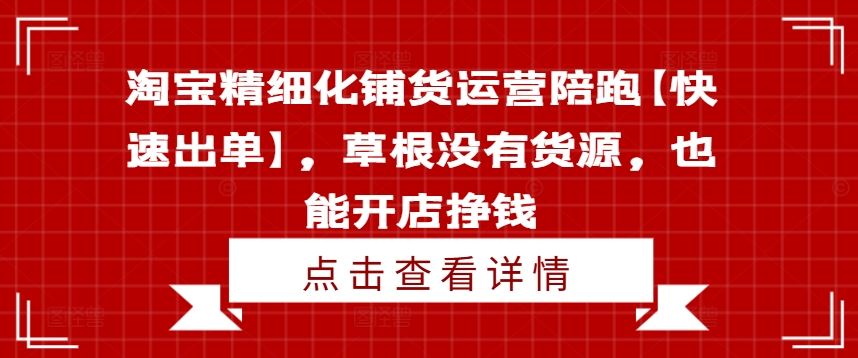 淘宝精细化铺货运营陪跑【快速出单】，草根没有货源，也能开店挣钱-悟空聊项目