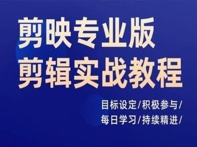 剪映专业版剪辑实战教程，目标设定/积极参与/每日学习/持续精进-悟空聊项目