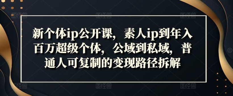新个体ip公开课，素人ip到年入百万超级个体，公域到私域，普通人可复制的变现路径拆解-悟空聊项目
