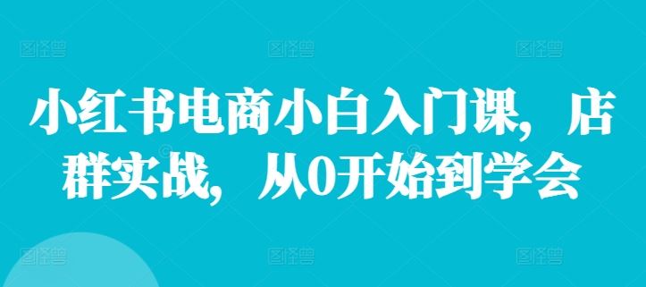 小红书电商小白入门课，店群实战，从0开始到学会-悟空聊项目
