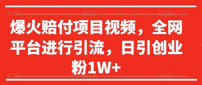 爆火赔付项目视频，全网平台进行引流，日引创业粉1W+【揭秘】-悟空聊项目