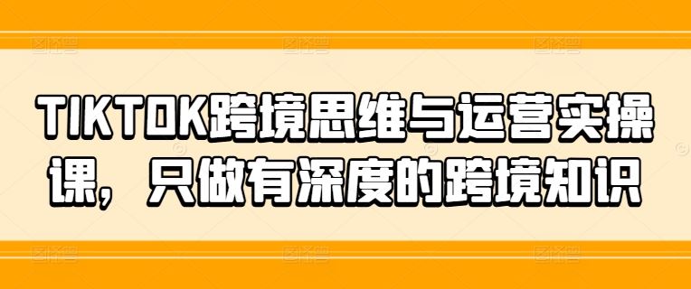 TIKTOK跨境思维与运营实操课，只做有深度的跨境知识-悟空聊项目