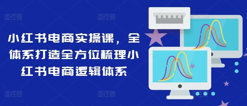 小红书电商实操课，全体系打造全方位梳理小红书电商逻辑体系-悟空聊项目