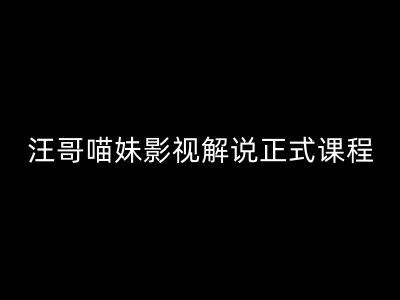 汪哥影视解说正式课程：剪映/PR教学/视解说剪辑5大黄金法则/全流程剪辑7把利器等等-悟空聊项目