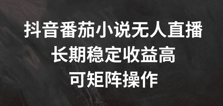 抖音番茄小说无人直播，长期稳定收益高，可矩阵操作【揭秘】-悟空聊项目