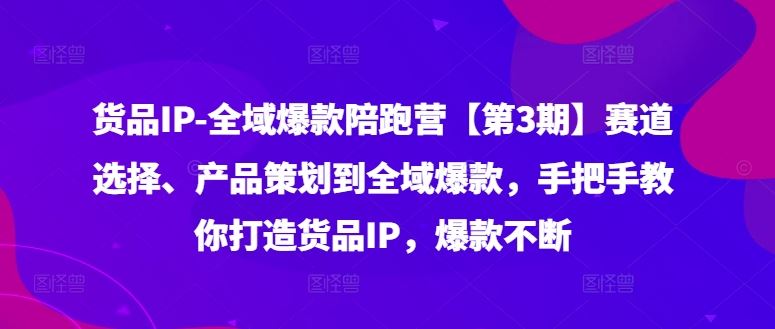 货品IP全域爆款陪跑营【第3期】赛道选择、产品策划到全域爆款，手把手教你打造货品IP，爆款不断-悟空聊项目