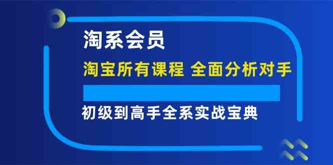 淘系会员初级到高手全系实战宝典【淘宝所有课程，全面分析对手】-悟空聊项目