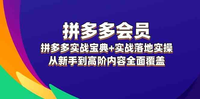 拼多多会员实战宝典+实战落地实操，从新手到高阶内容全面覆盖-悟空聊项目