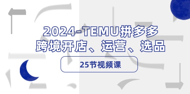 （12106期）2024-TEMU拼多多·跨境开店、运营、选品（25节视频课）-悟空聊项目
